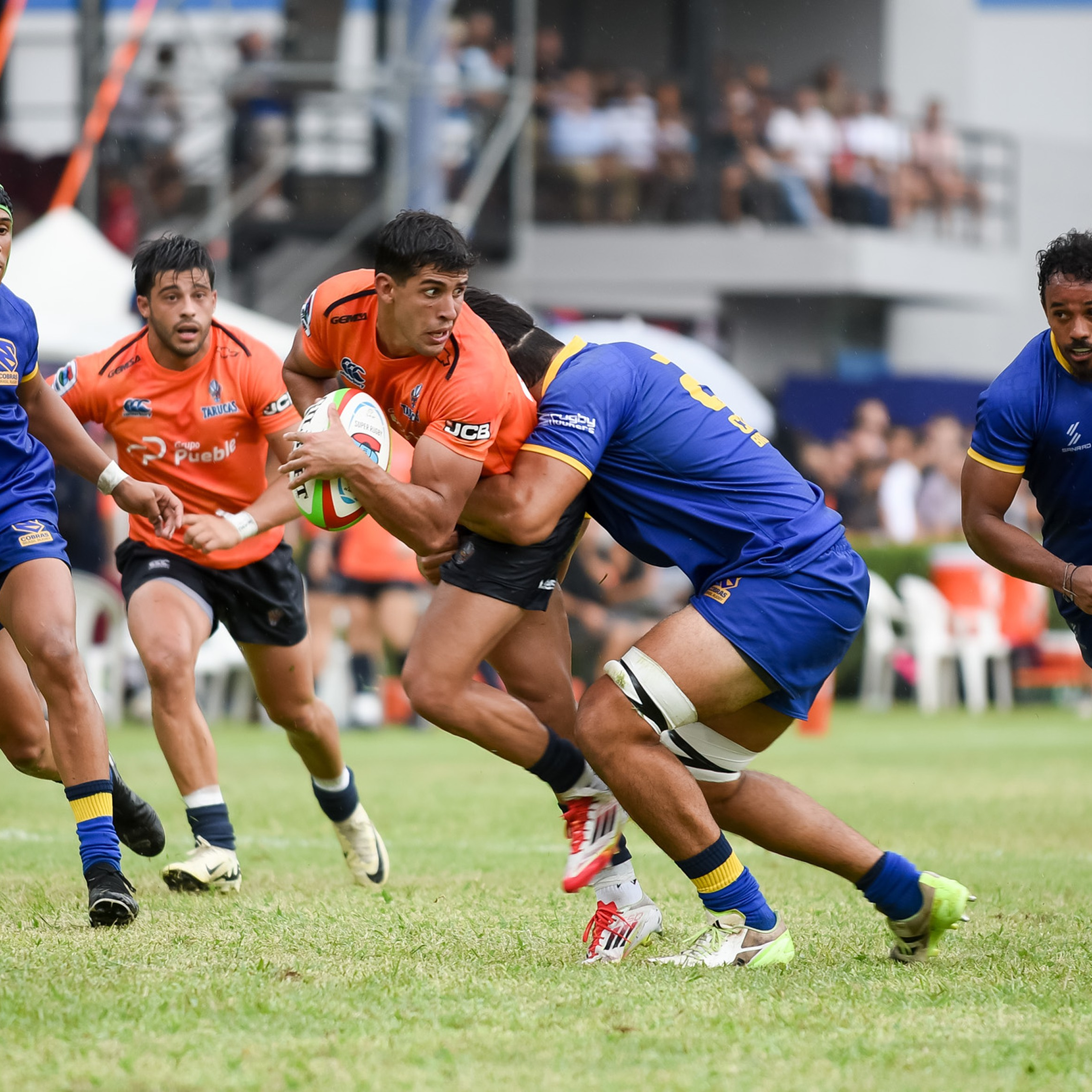 Medias Antideslizantes Tarucas