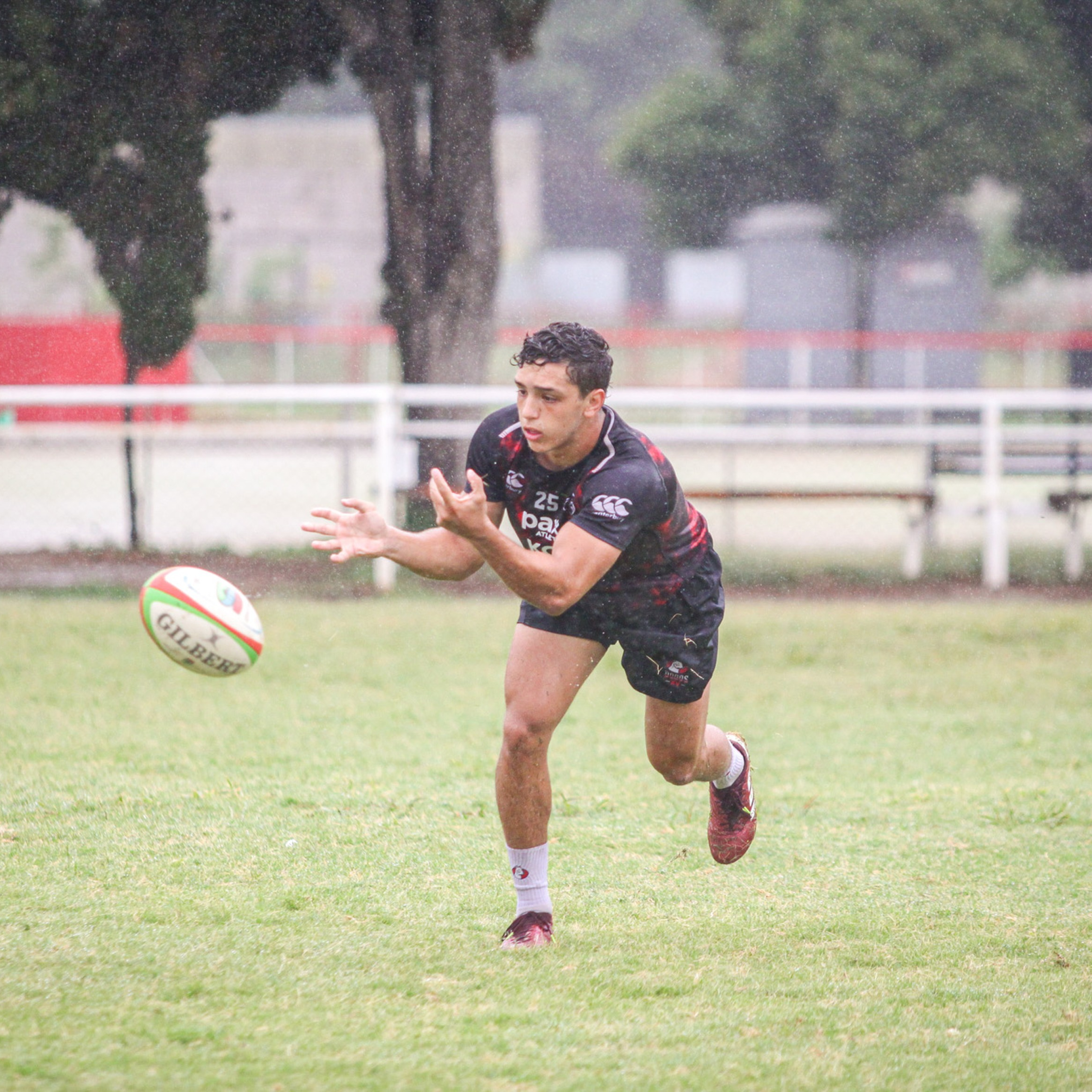 Medias Antideslizantes Dogos